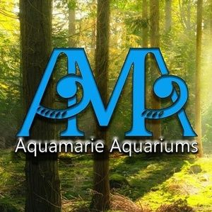 Meet your Posher, Aquamarie
